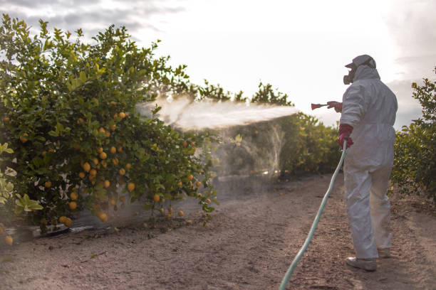 Best Pest Control for Businesses  in Dunellen, NJ