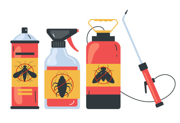 Best Bed Bug Extermination  in Dunellen, NJ