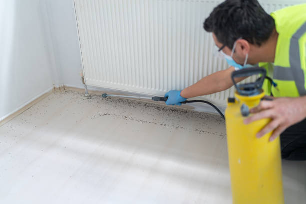 Best Residential Pest Control  in Dunellen, NJ