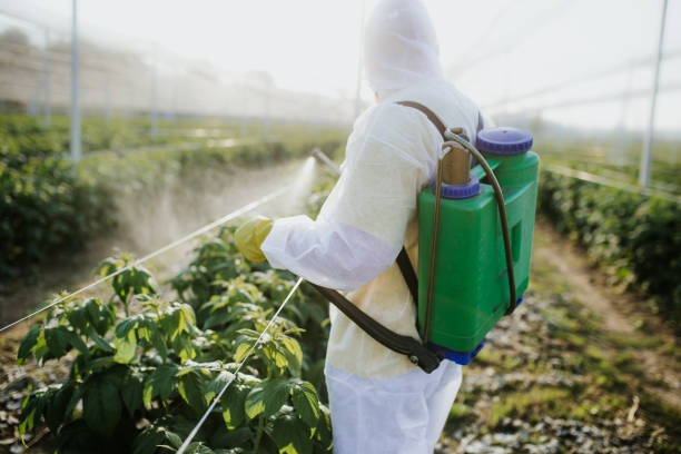 Best Termite Control Services  in Dunellen, NJ